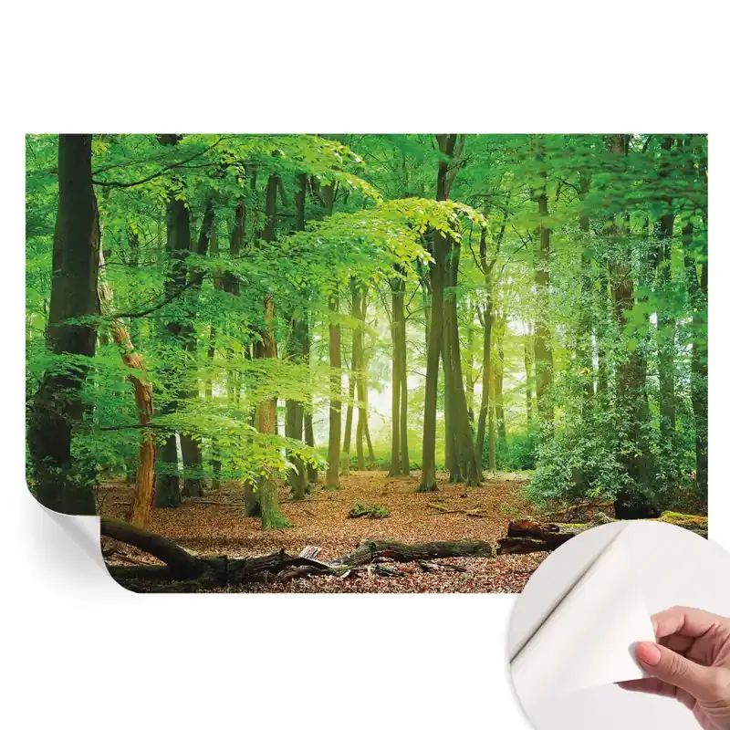 Ultima șansă Fototapet autoadeziv pentru dormitor Pădurea verde