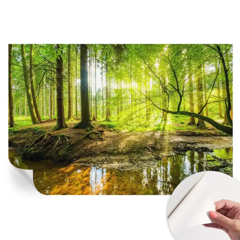 Tapet autoadeziv pentru camera de zi cu peisaj verde Calitate înaltă