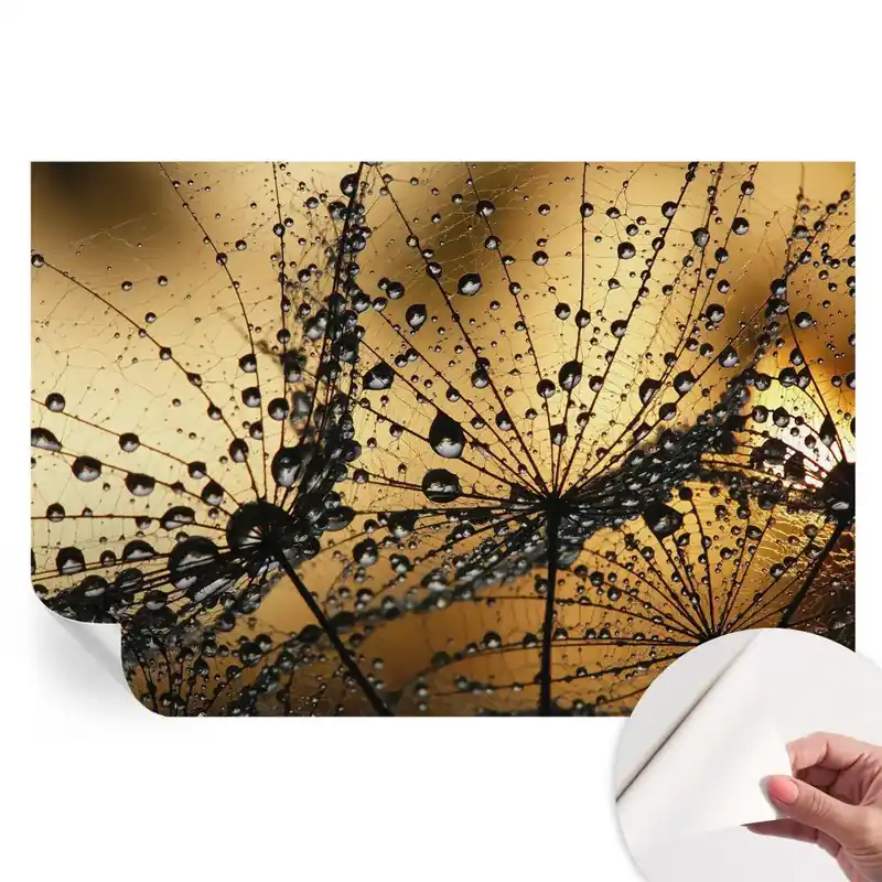 Fototapet autoadeziv pentru dormitor Picături delicate Premium