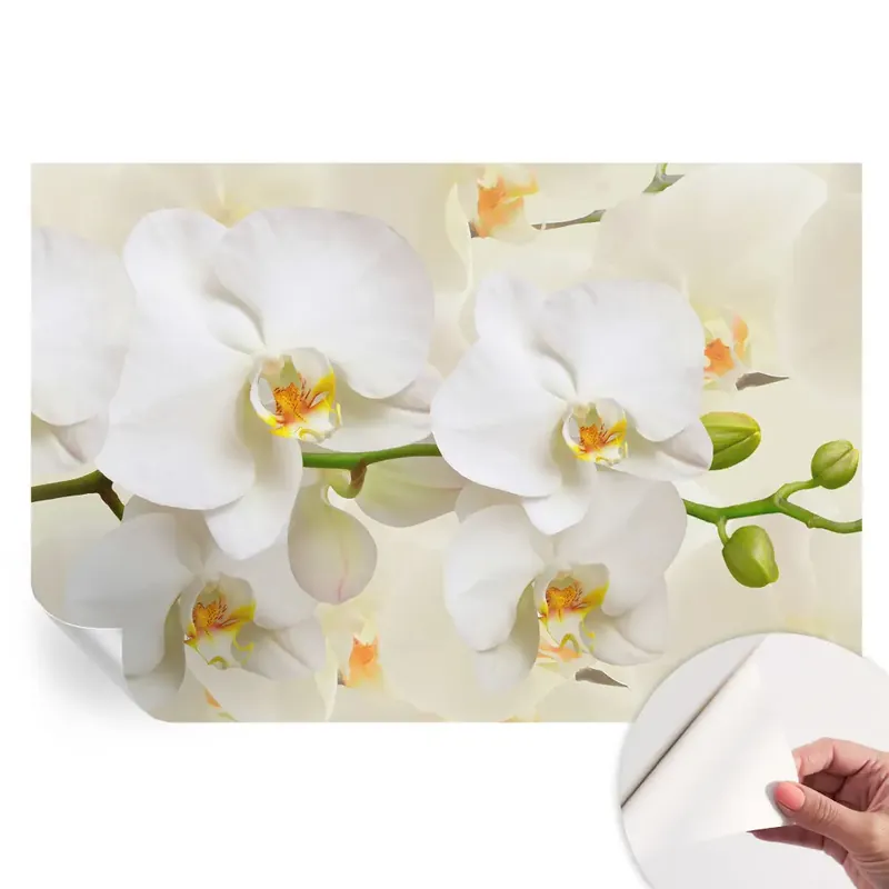 Preț redus Tapet fotografic autoadeziv Bogăția florală