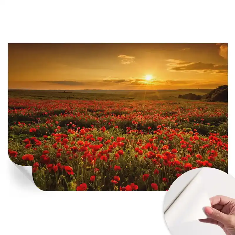 Tapet fotografic autoadeziv Câmp de maci Bestseller