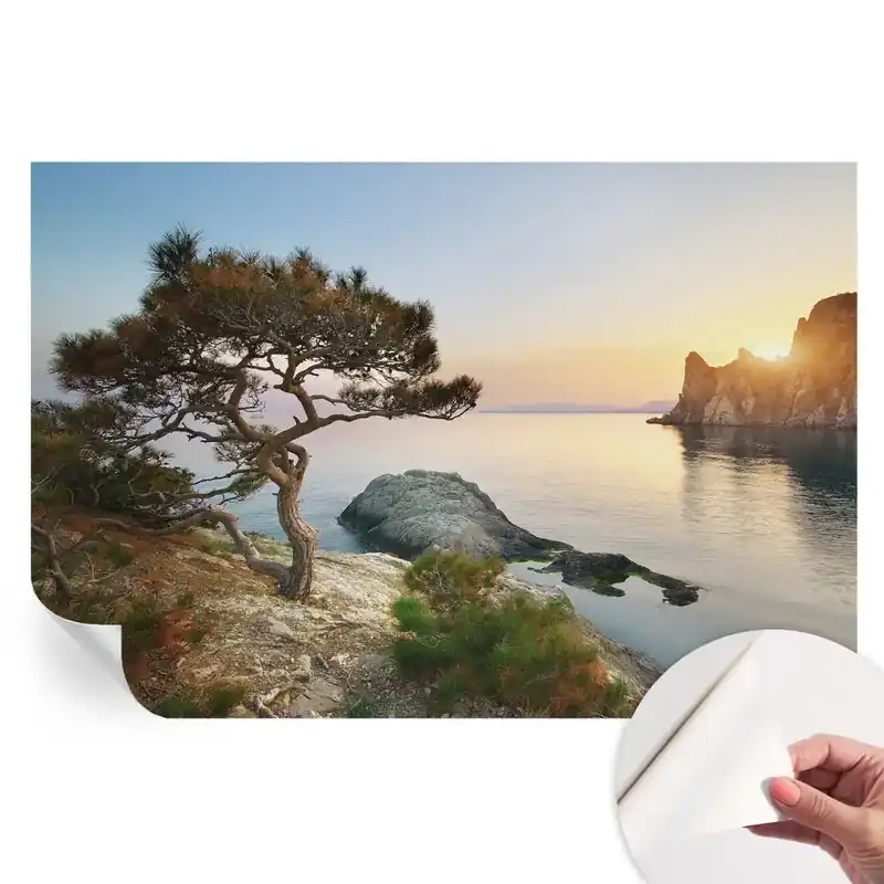 Retur gratuit Tapet fotografic autoadeziv Natură pașnică