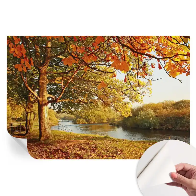 Preț redus Fototapet modern pentru sufragerie Toamna pe coastă