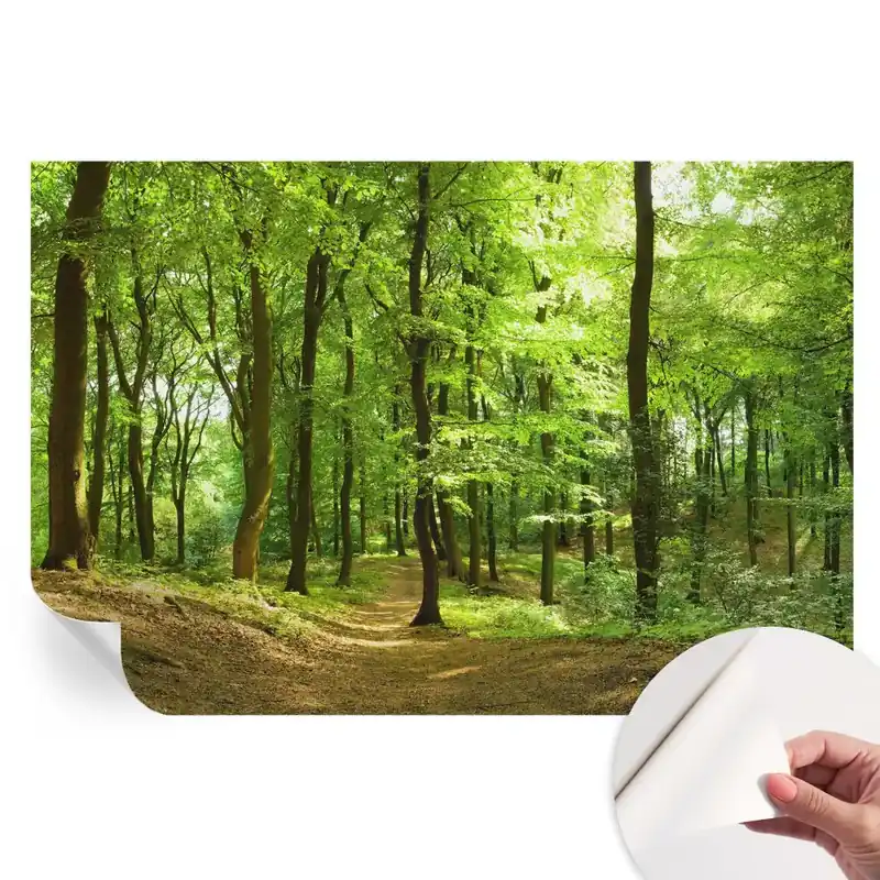 Ultima șansă Fototapet autoadeziv pentru dormitor Calea naturală
