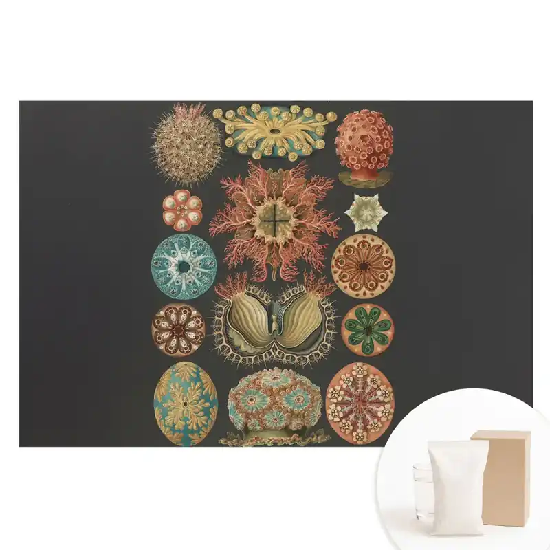 Ofertă limitată Tapet nețesut cu forme marine abstracte în stil clasic