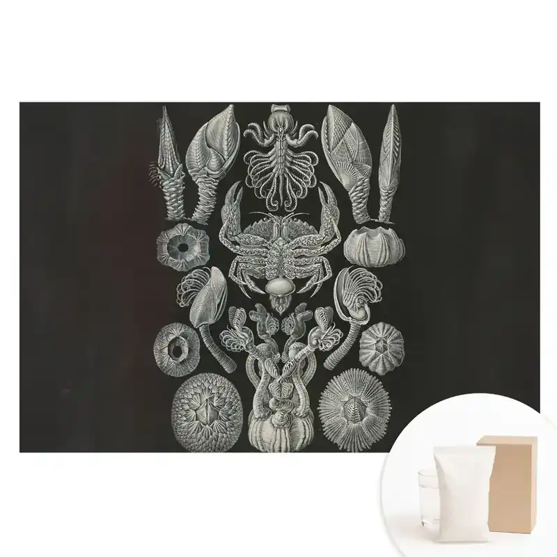 Cel mai bun preț Tapet nețesut cu imprimeu gravură artistică cu organisme marine