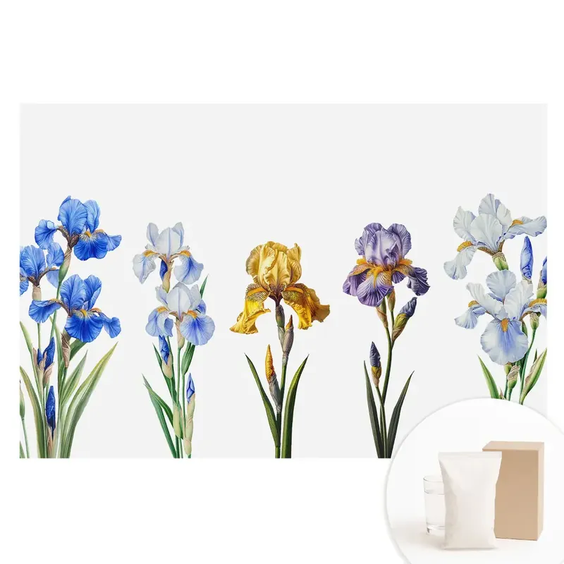 Livrare rapidă Fototapet din material nețesut cu flori de iris colorate pe fundal alb