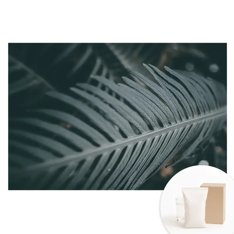 Reducere specială Tapet fotomural pe material nețesut cu design de frunze elegante