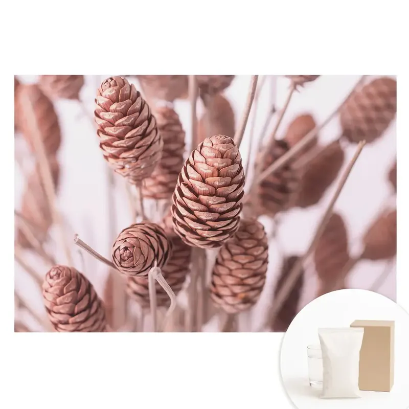 Lichidare de stoc Tapet fotografic din material nețesut cu conuri de pin în stil rustic