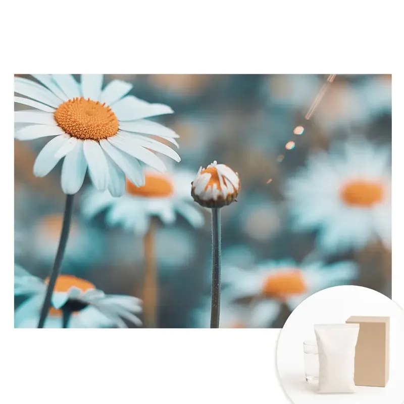 Tapet nețesut cu model floral de mușețel Ofertă limitată
