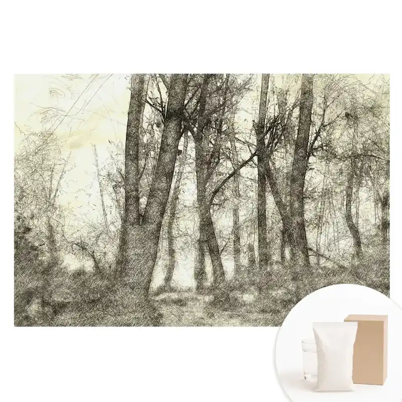 Cumpărături sigure Tapet fotografic nețesut Peisajul atmosferic al pădurii