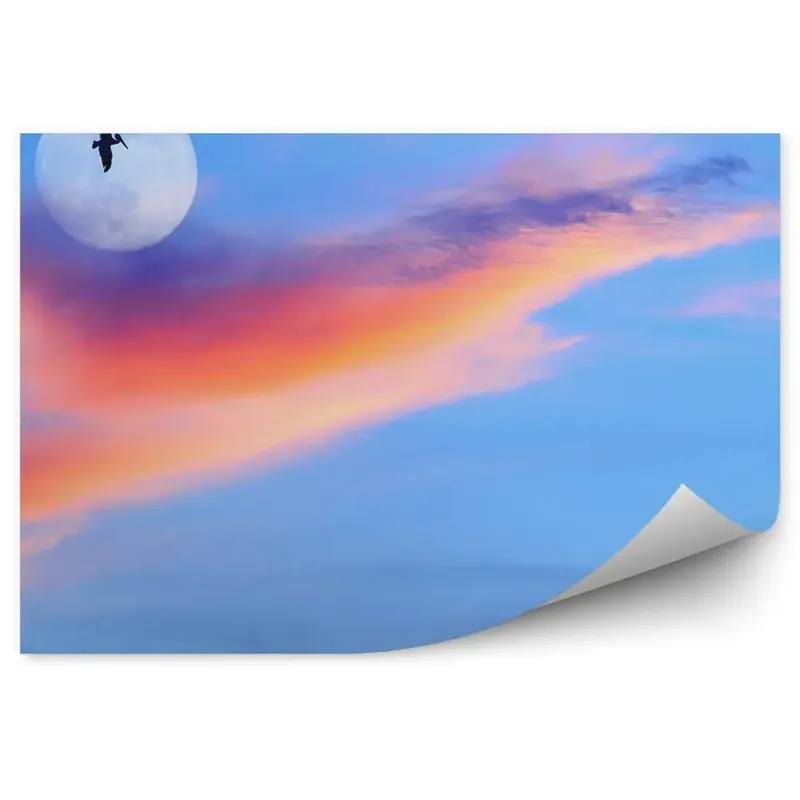Decor fototapet Păsări Cer Lună Nori Promoție