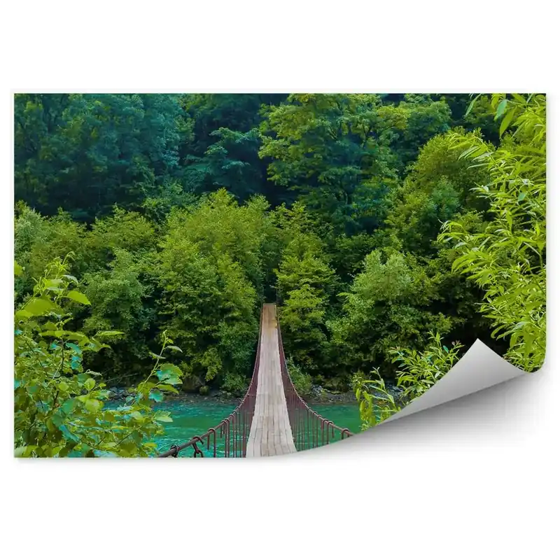 Fototapet perete Pod De Frânghie Copaci Plante Munte Râu Premium