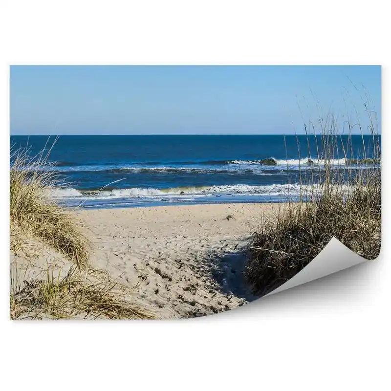 Calitate înaltă Decor fototapet Valuri Oceanice Plajă Dune Iarbă Nisip Virginia