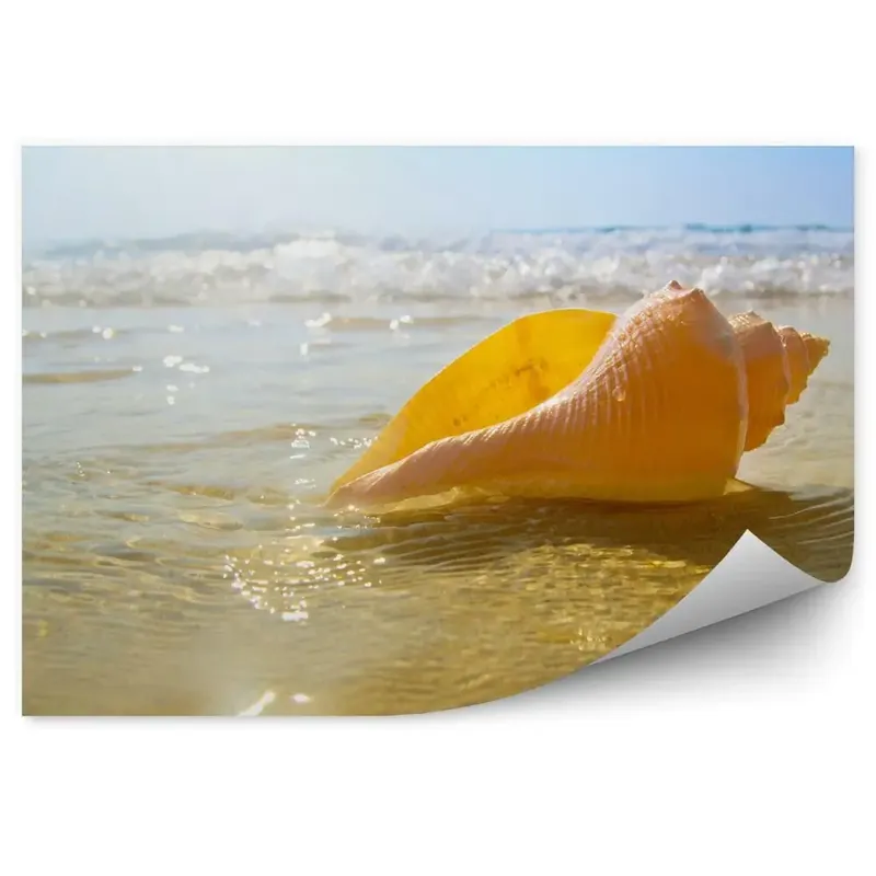 Fototapet vintage Shell Beach Valuri Oceanului Cer Preț promoțional