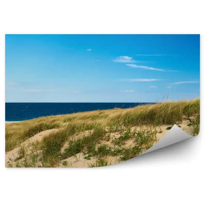 Reduceri Fototapet Peisaj Plajă Dune Mare Cer Nori