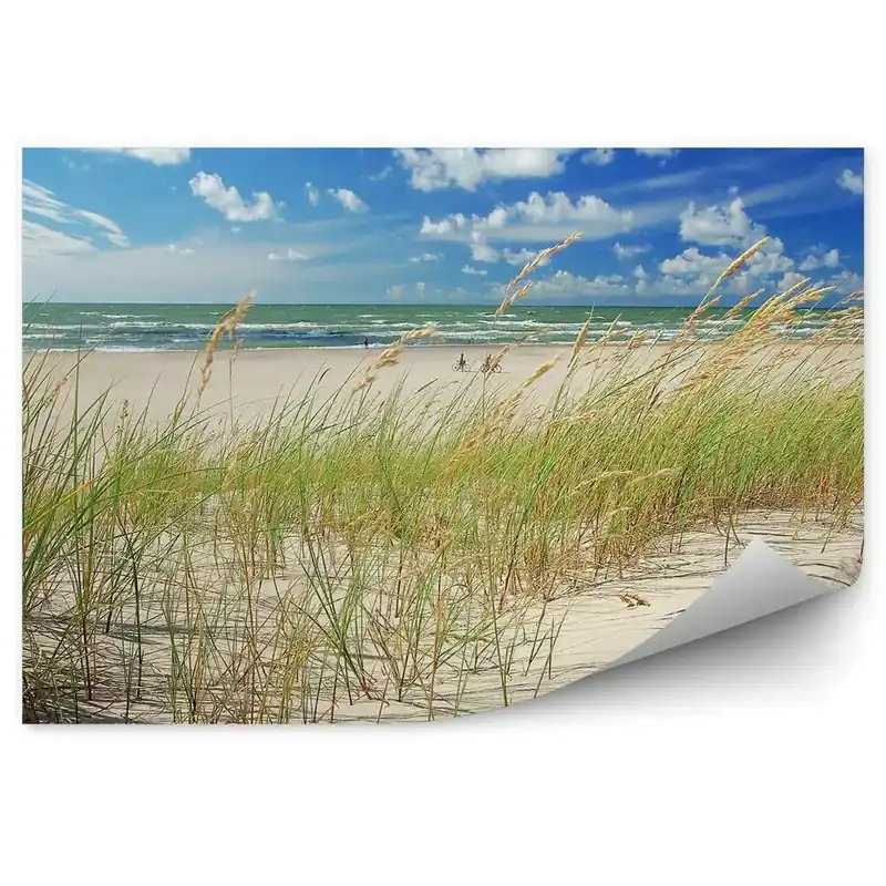Decor fototapet Plajă Dune Iarbă Ocean Cer Nori Ventspils Letonia Mai ieftin