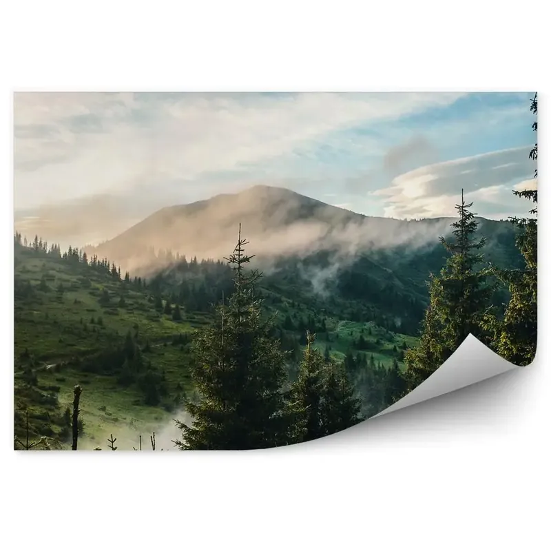 Decor fototapet Vârful Muntelui Conifere Cer Nori Ceață Ultima șansă