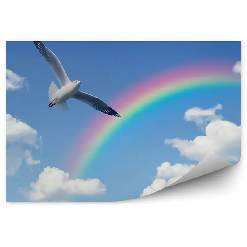 Ofertă de sezon Fototapet Cerul Curcubeu Înnori Porumbel Alb