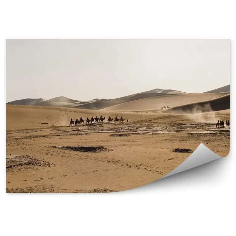 Fototapet Deșertul Gobi China Cămilele Cer Retur gratuit