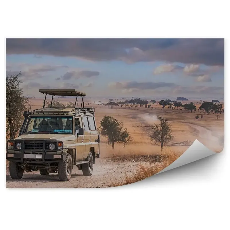 Ieftin Decor fototapet Fum Praf Nisip Călătorie Safari Cer Înnorat