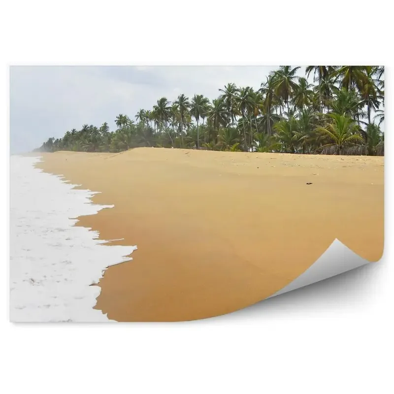 Fototapet vintage Ocean Tropical Plajă Palmieri Coasta De Fildeș Reducere