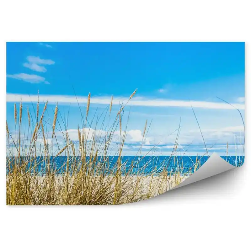 Ofertă limitată Fototapet pentru perete Dune De Mare Iarbă Peisaj Cer Nori