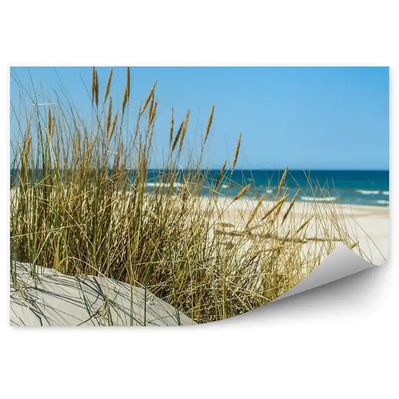 Decor fototapet Dune De Iarbă Plajă Marea Baltică Cer Łeba Doar azi