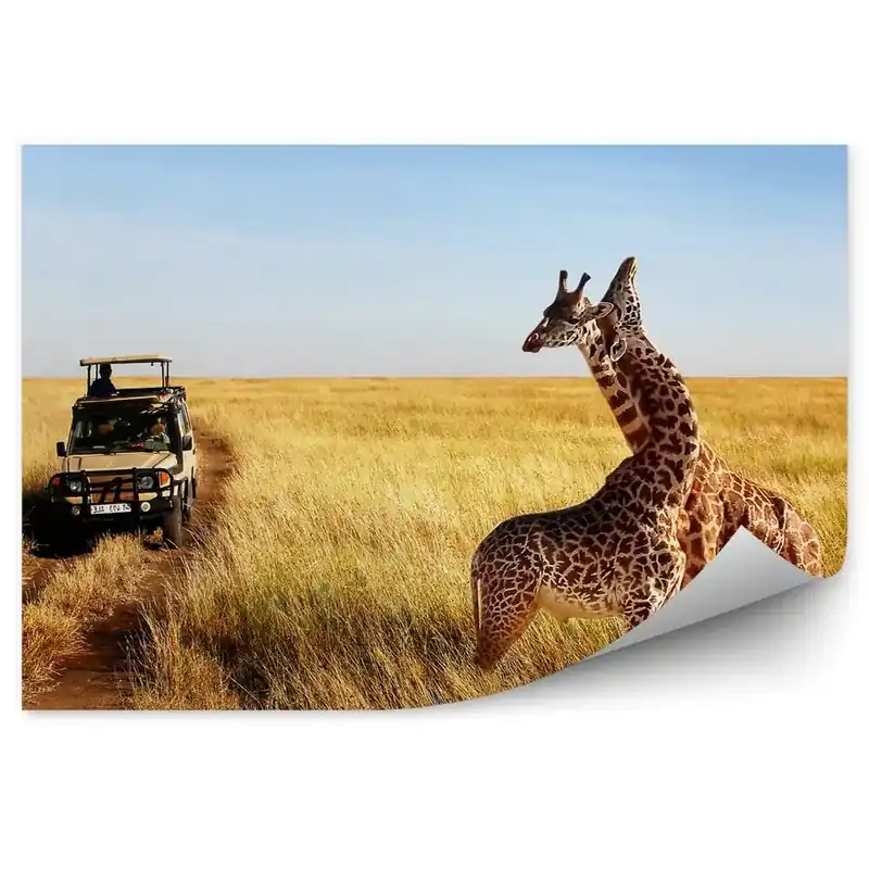 Cumpărături sigure Fototapet pentru perete Girafele Animale Vehicul Drum Natură Peisaj