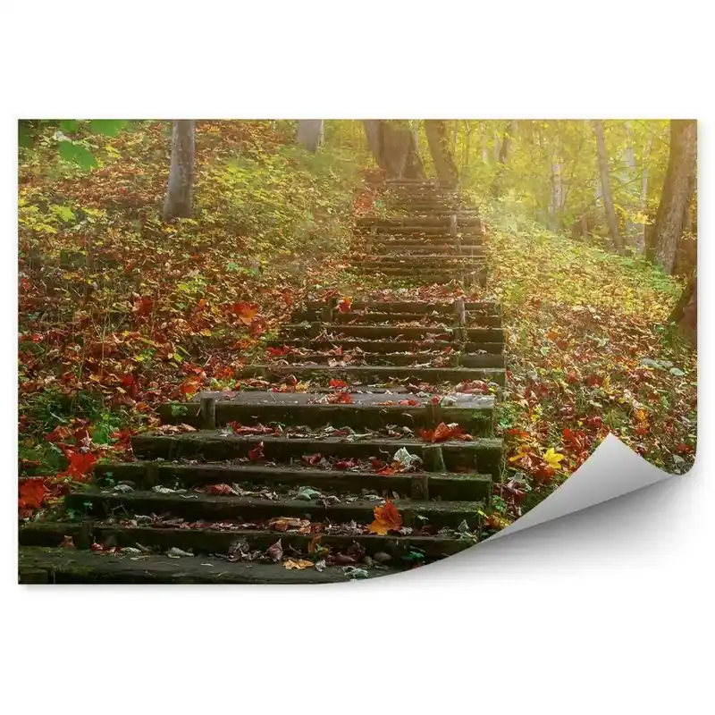 Fototapet vintage Scară de piatră în pădure peisaj de toamnă în pădure Cumpără online