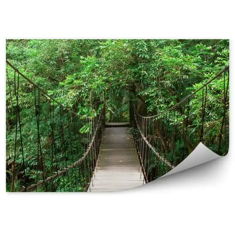 Fototapet Pod suspendat în pădure de lemn verde Expediere rapidă