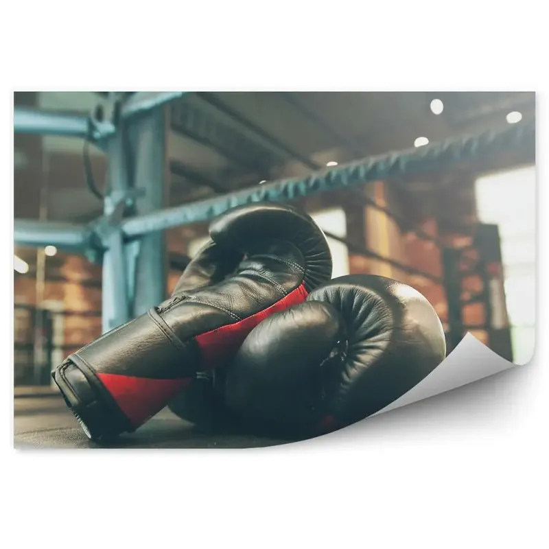 Ieftin Fototapet pentru perete Bărbați mănuși de box inel
