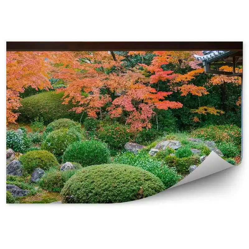 Cumpărături sigure Fototapet perete Arbuști verzi din grădina asiatică arbori de grădină