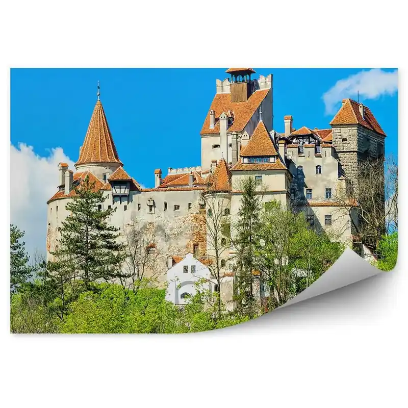 Vezi acum Fototapet pentru perete Castelul din Transilvania celebrul Dracula