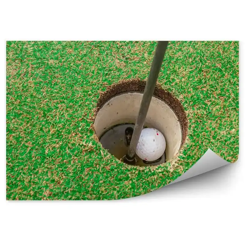 Fototapet vintage Gaură de golf minge de golf iarbă club Reducere de preț