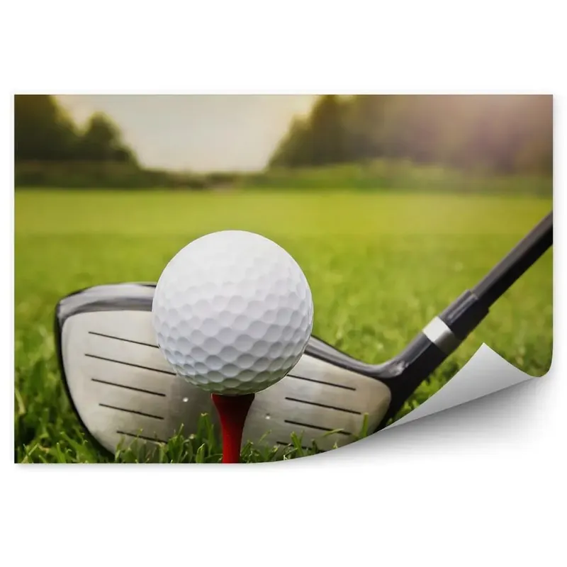 Fototapet perete Băț de golf mingea de golf iarbă plantă Popular