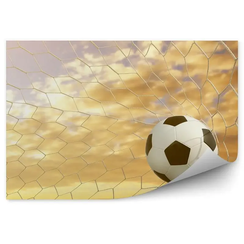 Decor fototapet Fotbal în poartă Livrare expres