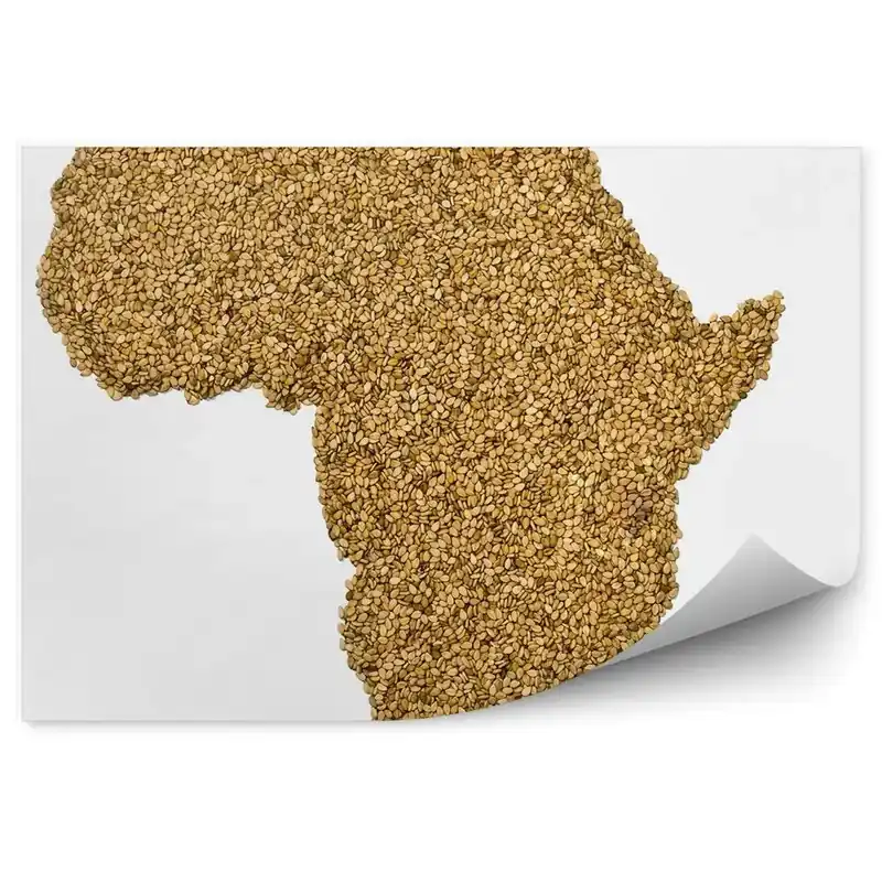 Decor fototapet Schiță de hartă a Africii Promoție