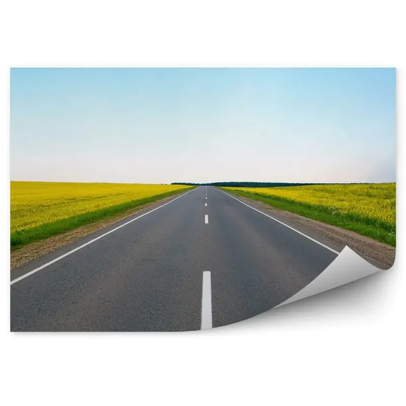 Decor fototapet Câmp de flori galbene înflorite drum Promoție