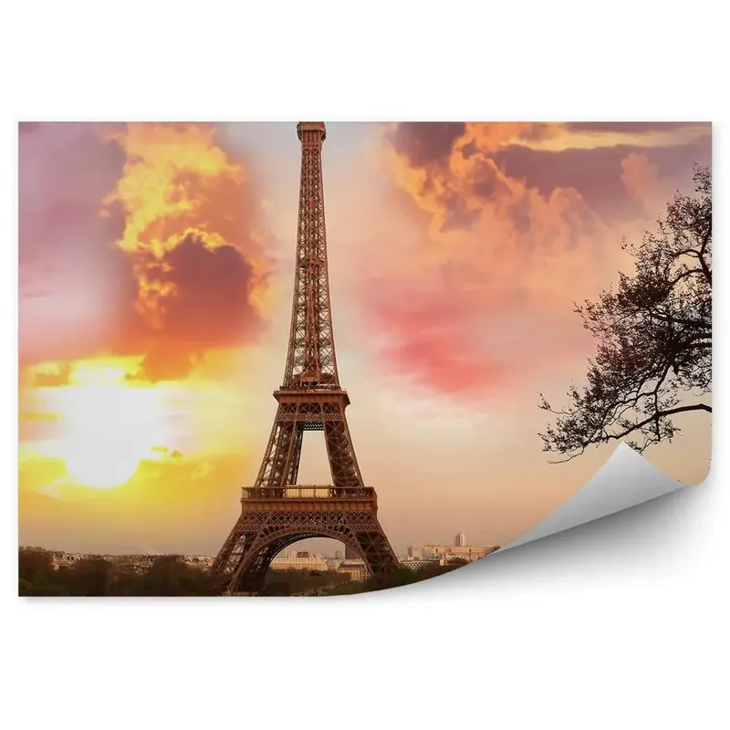 Fototapet pentru perete Paris Turnul Eiffel Paris nor parc Ofertă limitată