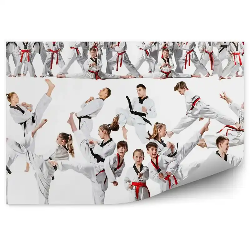 Premium Fototapet perete Colaj de formare karate copii