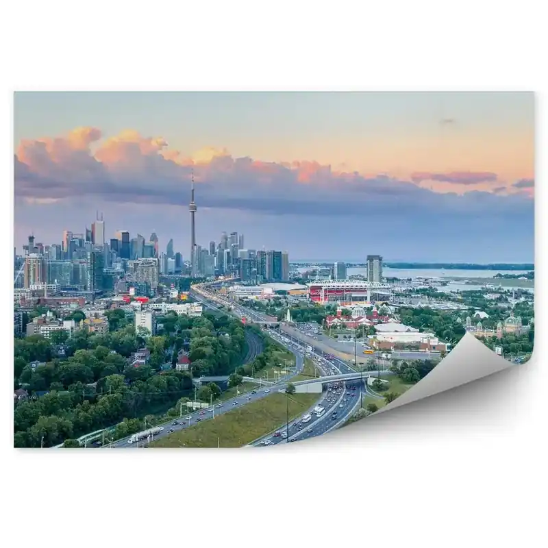 Fototapet vintage Vedere aeriană a vegetației orașului Toronto Disponibil imediat