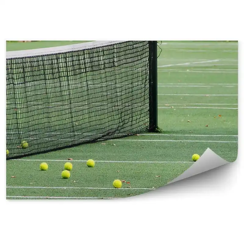 Reduceri Decor fototapet teren de tenis mingi net