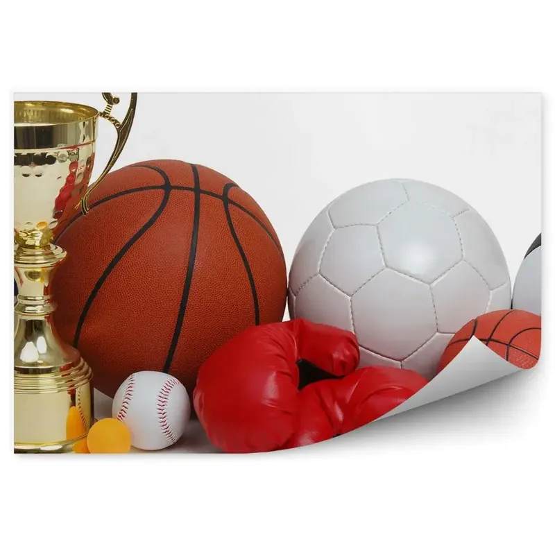 Ofertă specială Fototapet vintage Bile sport mănuși sport mănuși darts cupa