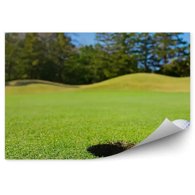 Fototapet Golf minge gaura cer cerul copaci conifere Livrare expres