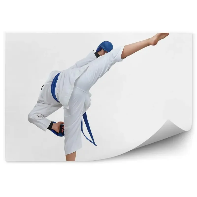 Super ofertă Decor fototapet Karate de formare