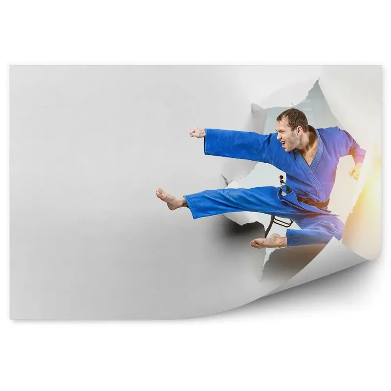 Fototapet pentru perete hârtie de perforare karate Disponibil imediat