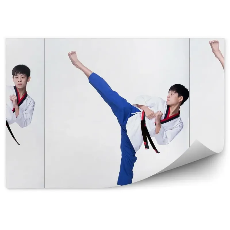 Fototapet vintage Adolescent Karate colaj Preț mic