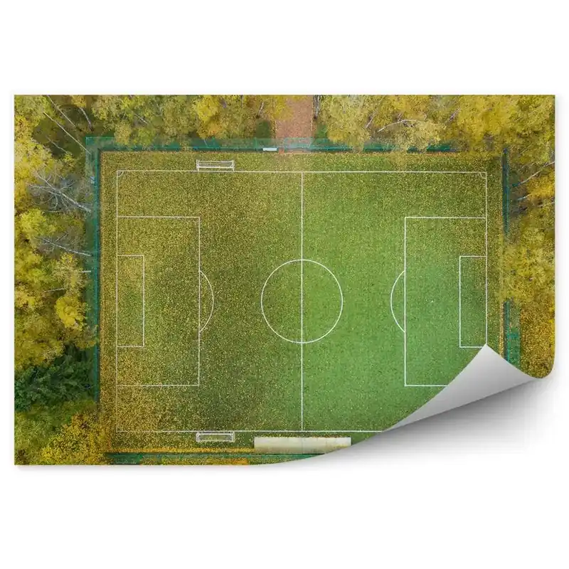 Fototapet pentru perete Vedere de sus a terenului de fotbal Promoție