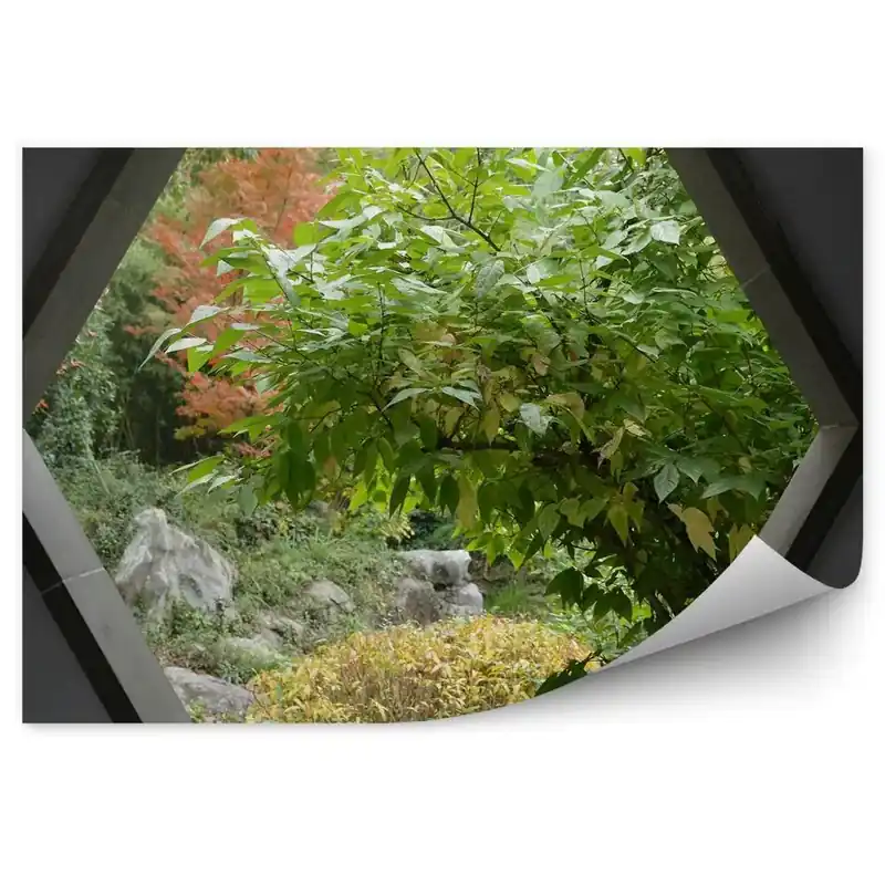 Discount Fototapet perete Fereastră în zidul de beton copac grădină verde